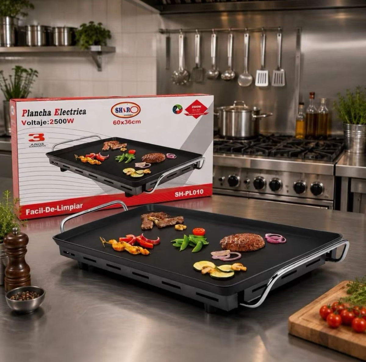 Plancha Eléctrica 60X36